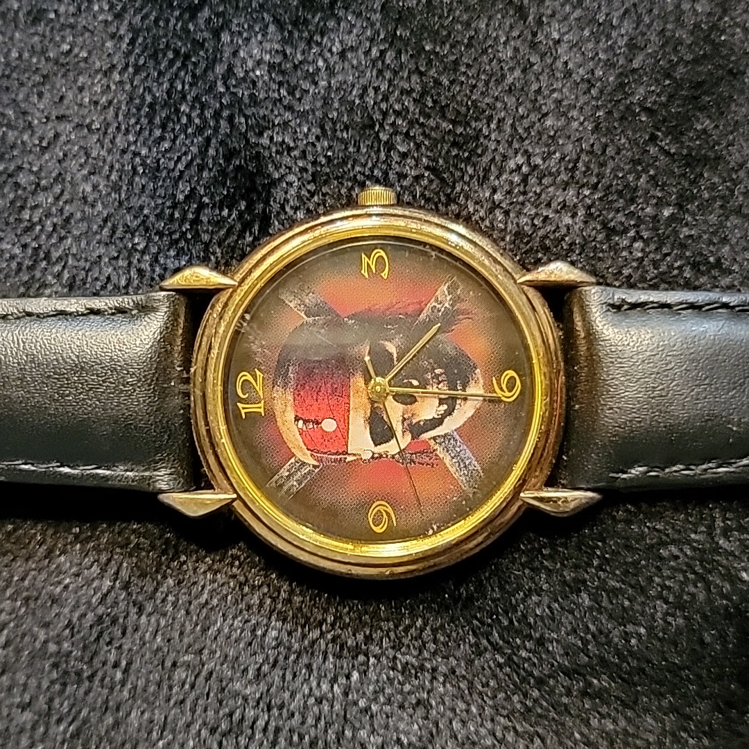 Disneys Pirates Of The Caribbean Watch